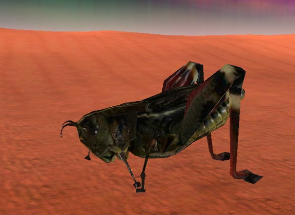 http://www.dark-wind.com/images/ss4/grasshopper1.jpg